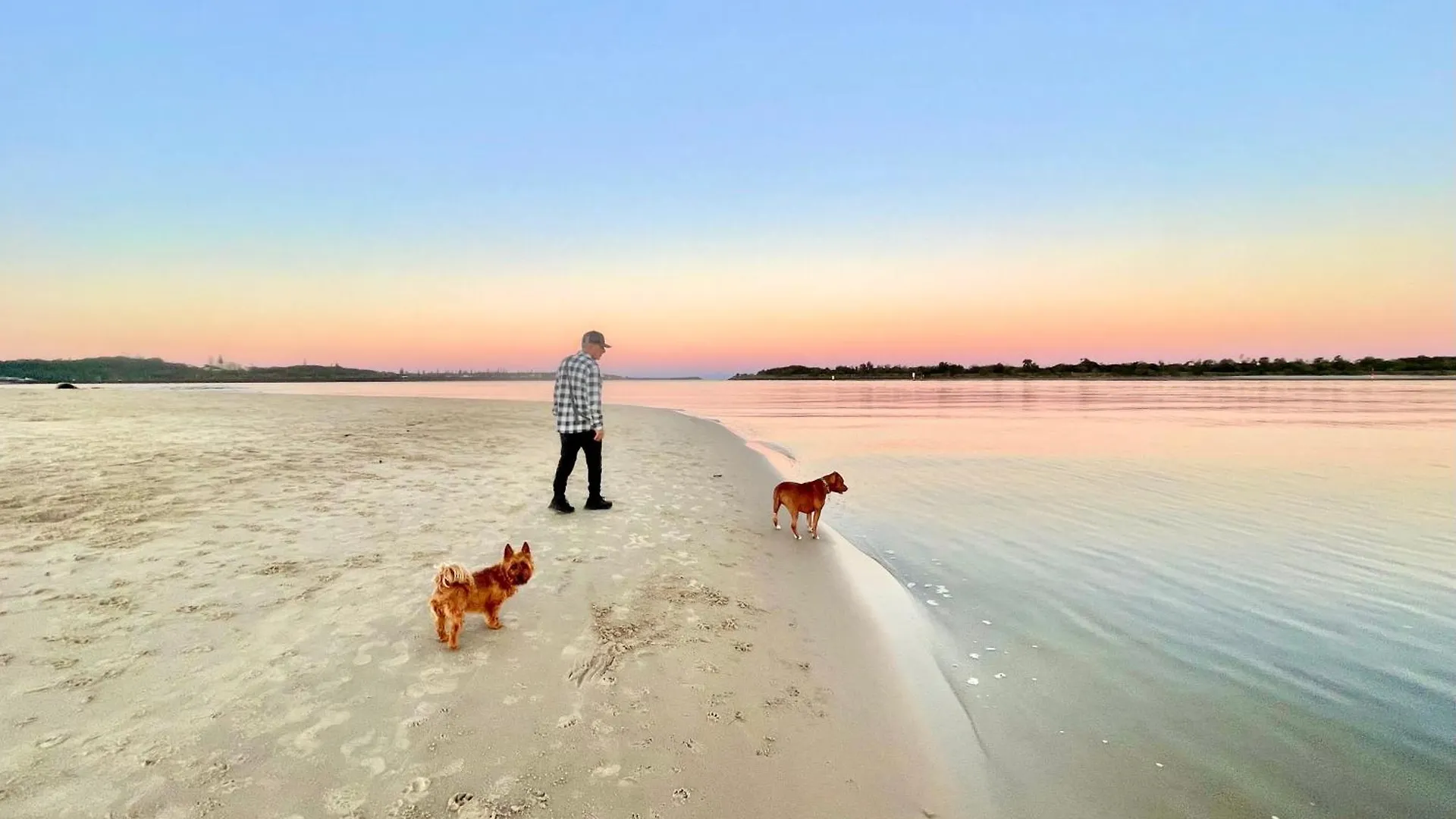 'Seaview' - Prime Location By Shaws Bay With Stunning Views, Pet Friendly Apartment East Ballina
