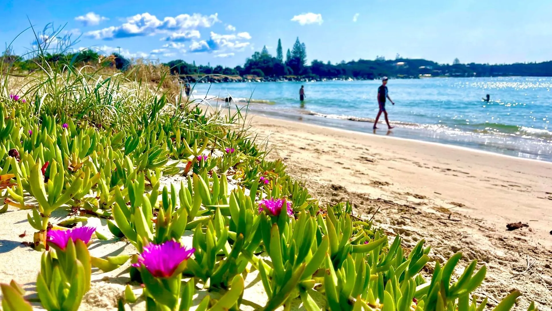 'Seaview' - Prime Location By Shaws Bay With Stunning Views, Pet Friendly Apartment East Ballina Australia